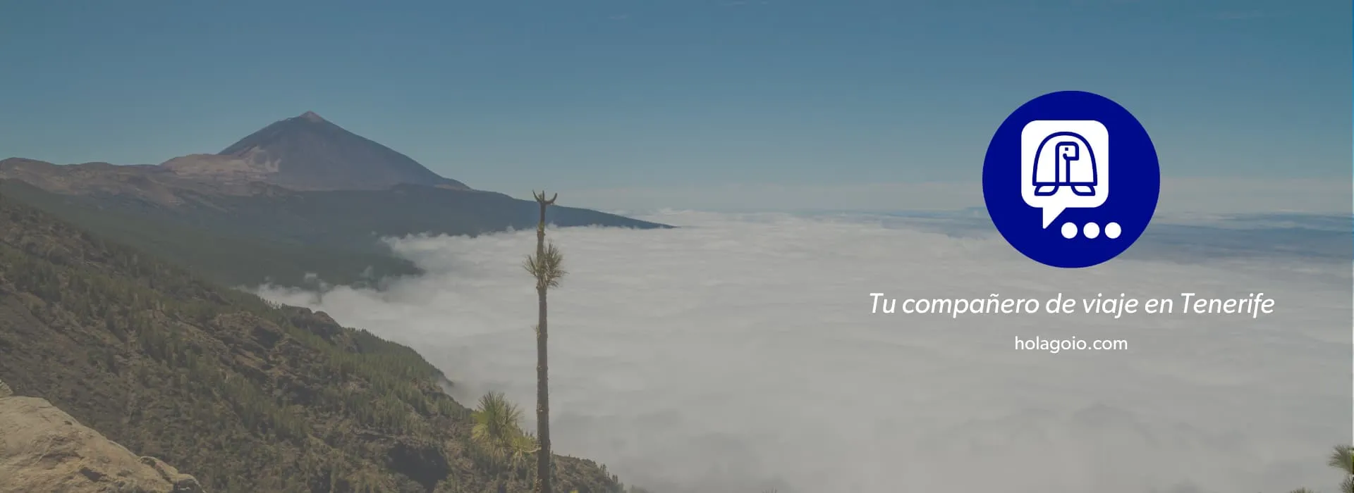 GOIO PARA TURISMO DE TENERIFE